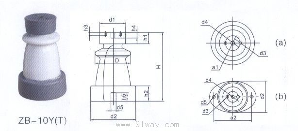 ZB-10Y(T)߉֧^